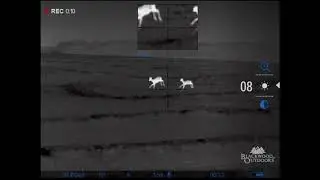 Pulsar Trail 2 XQ50 LRF - Random Footage