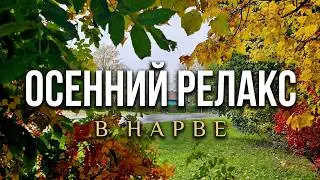 Осенний релакс в Нарве.#relax#осеннийгород#тихаягрусть#vaiknekurbus#quietmelancholy #природа #loodus