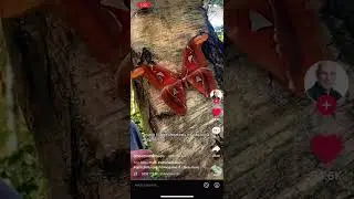 Atlas Moth Defense