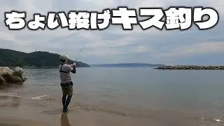 【キス釣り】砂浜から手軽に釣れる夏のシロギス