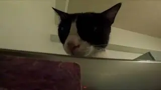 some kooky footage Jan 2025