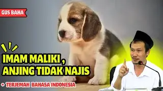 Kupas tuntas anjing najis atau tidak : Gus baha bahasa indonesia
