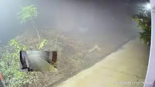 Live Street View | Real-Time CCTV Footage | Powered by CP Plus