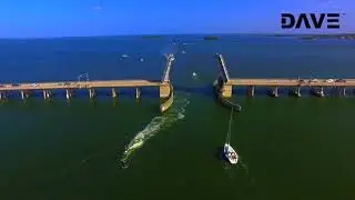 jet ski invasion