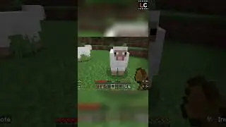 Minecraft's Tranquil Water Views: A Moment of Serenity #shorts