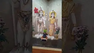 Daily Darshan Shree Swaminarayan Temple mauritius #mauritius #devotional #ytshorts #🛕 temple