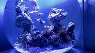 50 liter desk bowl (week 1)