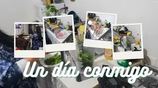 Preparando espagueti verde 