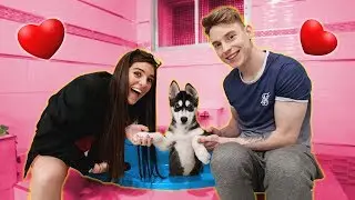 EL PRIMER BAÑO DE MAX !! 🛁🐶 COMO BAÑAR UN CACHORRO 🚿💕 (ft. Cande Diaz) Exi