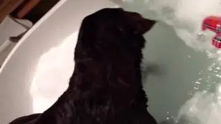 Oscar Donnelly-Shyvers bath time