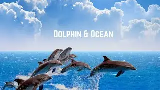 Emotional Dolphins & Calming Ocean Waves | Nature Sounds for Stress Relief