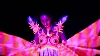 The Australian Body Art Awards & Face/Body Painting Convention
