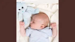 Enchanting Lullaby Twinkling Calm