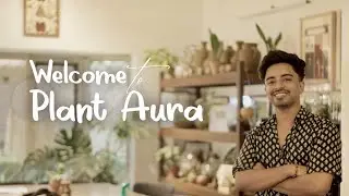 Introducing Plant Aura | The Beginning of My Art Studio Journey