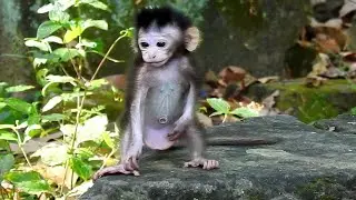 Mummy I'm hear.. April allow baby Anya walk a lone, Anya walking so confident