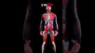 &iquest;Pinzamiento en la cadera? Mira esto...