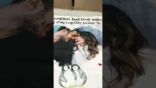 Custom Photo Couple You Are My Penguin | Personalized Fleece Blanket, Sherpa Blanket