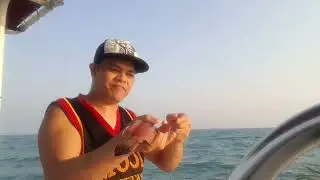 Traditional Fishing techniques In Uae #fishing #fishingislife #abudhabi