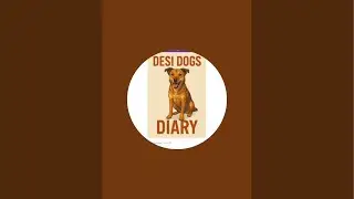 Desi Dogs Diary is live!