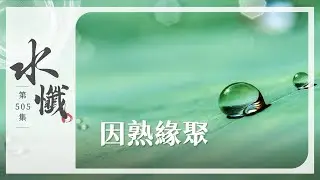 【法譬如水】 因熟緣聚 - 第505集｜水懺｜慈悲三昧水懺｜ 20260129