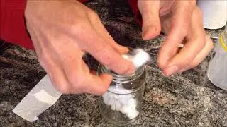 Growing Bean seeds Method 3 Cotton wool
