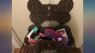 Bone Dry Pet Storage Collection Toy Basket review