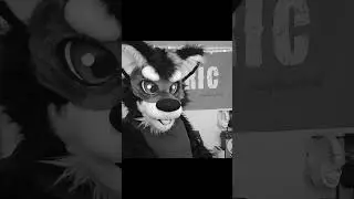 Furry Impressions (or something)