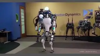TechyRise -#technology #future #rebort