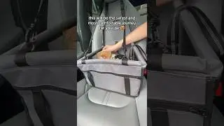 Secure your journeys with our cat car safety kit. #CatCarrier #PetTravel #CatLovers
