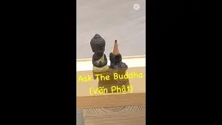 Ask The Buddha (Vấn Phật) - Tank Drum