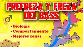 🎣 PRE-FREZA / FREZA del BASS 🏆 - PESCAR en PRIMAVERA