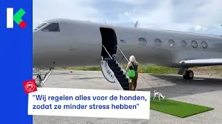 Op dit vliegtuig krijgen honden champagne!