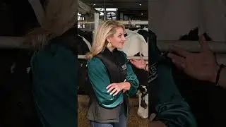 Creating Valuable Genetics in the Dairy Industry | Dairy Genetics | Dairy Tech | Dairy Industry