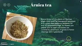 Arnica tea