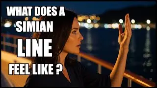 What does a Simian line feel like? | Expert Hand Analysis