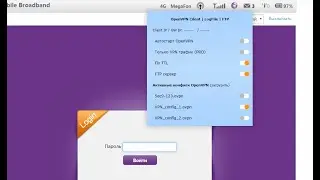 OpenVPN на ZTE-MF910, R216-Z (с web-интерфейсом)