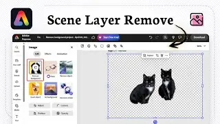 Как удалить фон из видео в Adobe Express