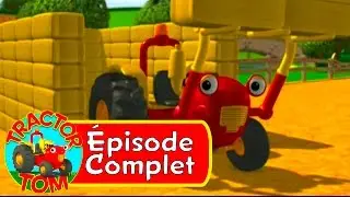 Tracteur Tom - 29 Cache Cache (&eacute;pisode complet - Fran&ccedil;ais)