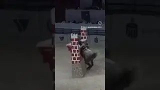 Horse fails #horses #edit #horseriding #equestrian #vaulting  #horsefails