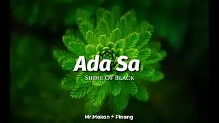 Ada Sa - Shine of black (Lirik)
