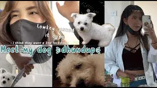 (Nepali Vlog) Lazy day with my dog | my bbc talk/rant on the pandemic LOL | Hamro Diaries