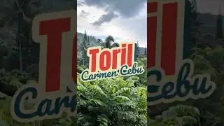 Toril Carmen Cebu .. #nature #view #scenery