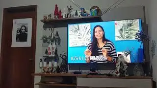 Kombucha X teor alco&oacute;lico