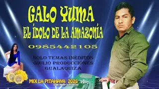 Mix Pitahaya - Galo Yuma 2025 | Stalin Nadier DJ Producer