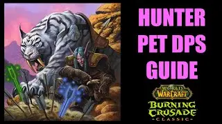 WOW TBC Classic Hunter PET DPS GUIDE: Таланты питомцев, способности, усиления и МНОГОЕ ДРУГОЕ!!!