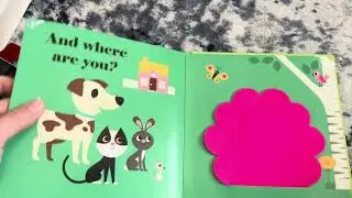 Baby Felt Flap Book Review