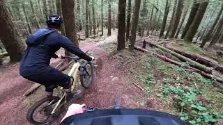 Sunshine Coast (A Loamy Day!)