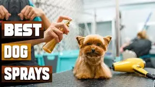 Best Dog Spray In 2026 - Top 10 Dog Sprays Review