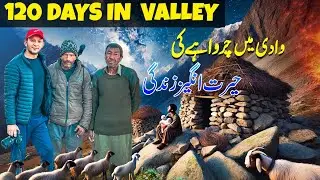 Shepherd&rsquo;s 120 Days in the Valley | A Life Beyond Time