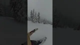 Incredible POWDER @Brighton  #snowboarding #deepsnow #utah